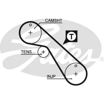 Courroie crantée GATES 5406