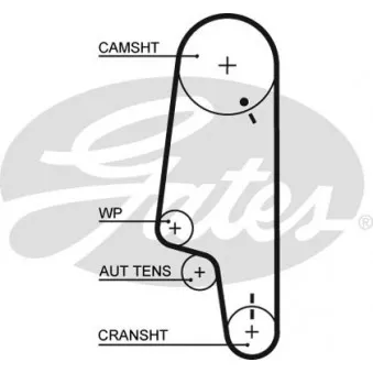 Courroie crantée GATES 5427XS