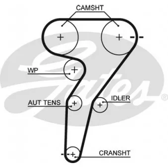 Courroie crantée GATES 5429XS