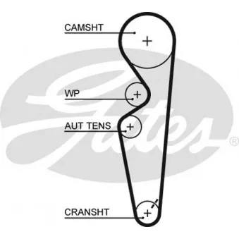 Courroie crantée GATES 5431XS