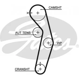 Courroie crantée GATES 5441XS