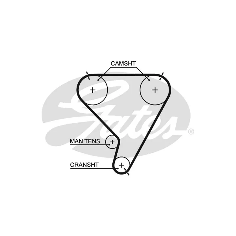 Courroie crantée GATES 5448XS