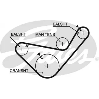 Courroie crantée GATES 5456XS