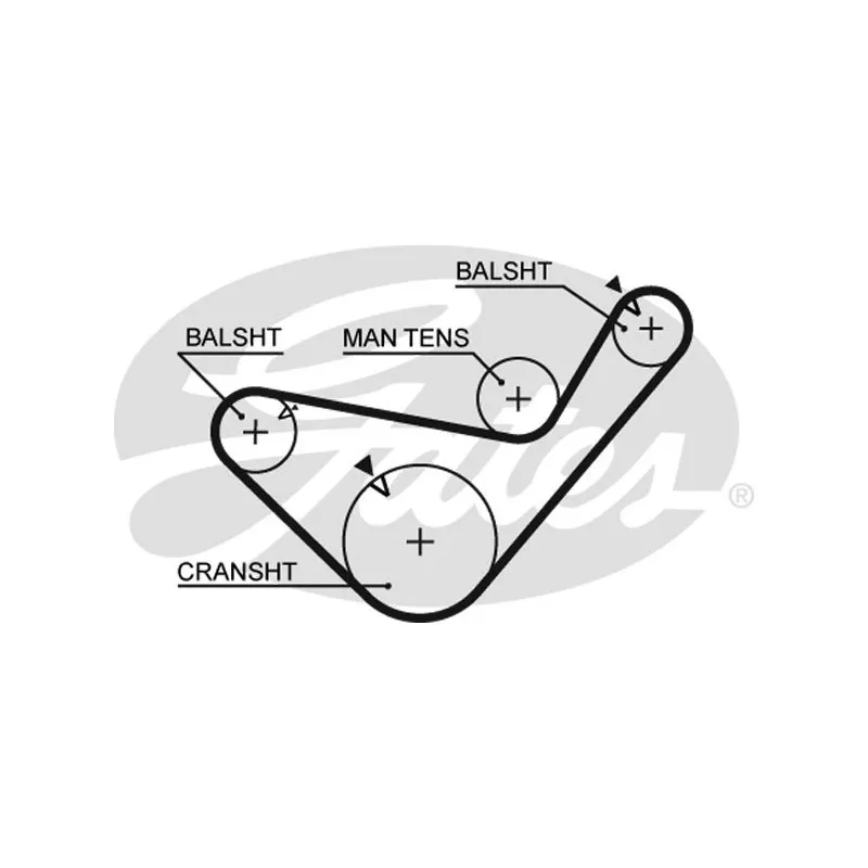 Courroie crantée GATES 5456XS