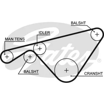 Courroie crantée GATES 5463XS