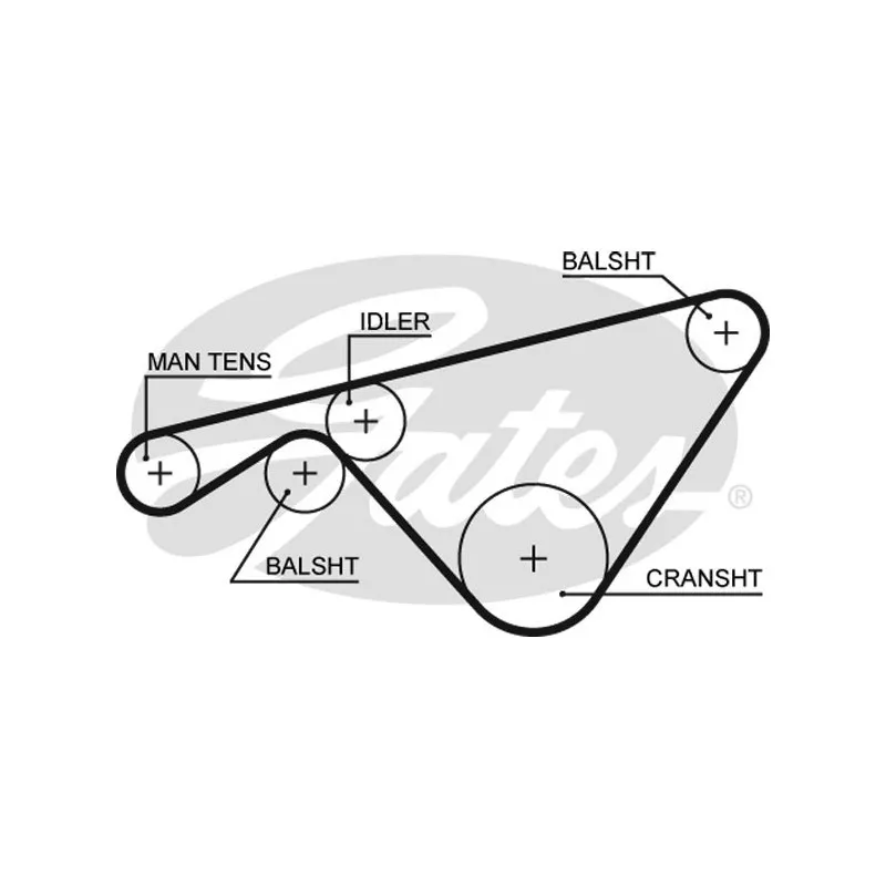 Courroie crantée GATES 5463XS