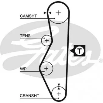 Courroie crantée GATES 5521