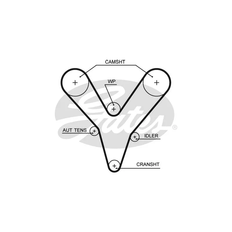 Courroie crantée GATES 5527XS