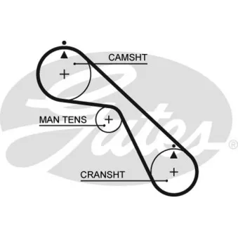 Courroie crantée GATES 5530XS