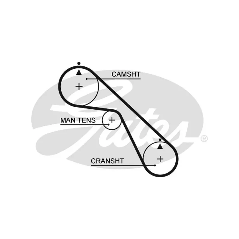 Courroie crantée GATES 5530XS