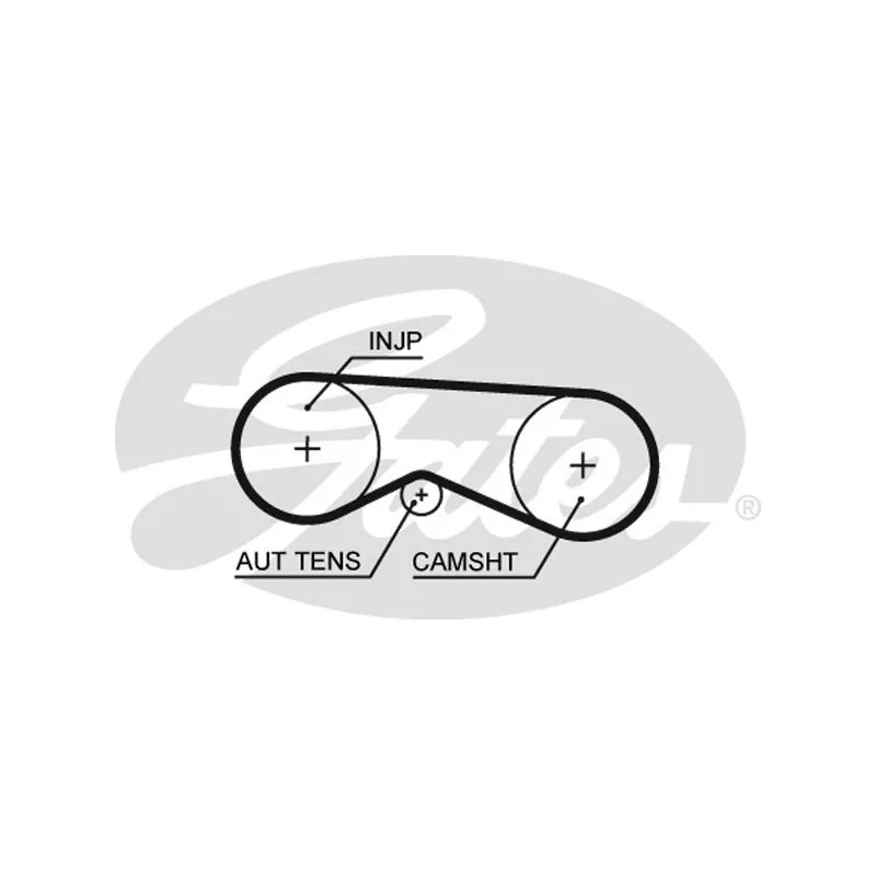 Courroie crantée GATES 5531XS