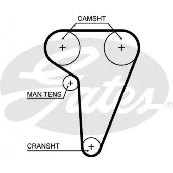 Courroie crantée GATES 5549XS
