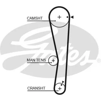 Courroie crantée GATES 5687XS