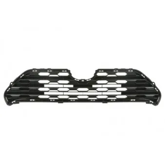 Grille de radiateur BLIC 5601-00-8186990P