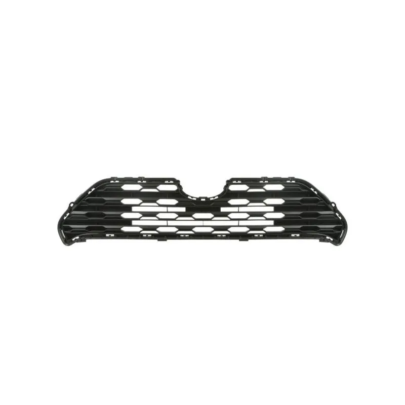 Grille de radiateur BLIC 5601-00-8186990P