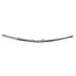 Baguette et bande protectrice, grille de radiateur BLIC 6502-07-5079999UP - Visuel 1
