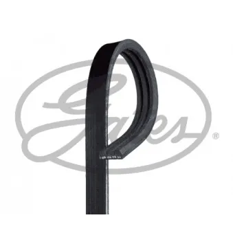 Courroie trapézoïdale à nervures GATES 3PK814SF