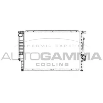 Radiateur, refroidissement du moteur AUTOGAMMA 101982