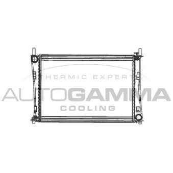 Radiateur, refroidissement du moteur AUTOGAMMA 103072