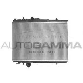 Radiateur, refroidissement du moteur AUTOGAMMA 103567