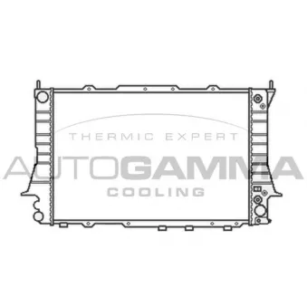 Radiateur, refroidissement du moteur AUTOGAMMA 103879