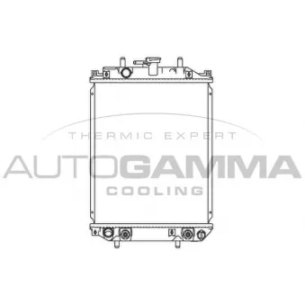 Radiateur, refroidissement du moteur AUTOGAMMA