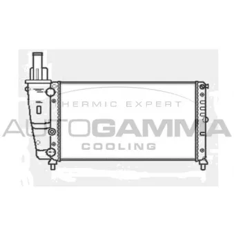 Radiateur, refroidissement du moteur AUTOGAMMA