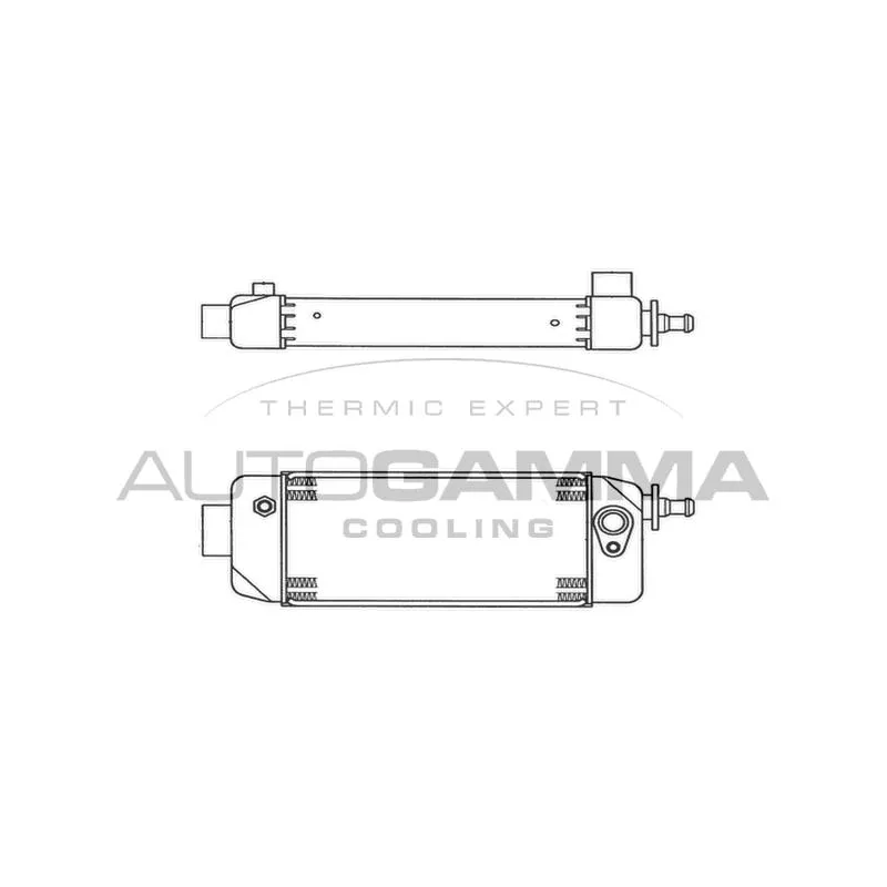 Radiateur d'huile AUTOGAMMA 103918