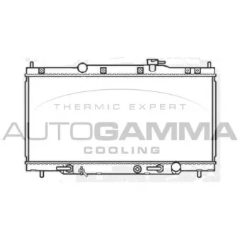 Radiateur, refroidissement du moteur AUTOGAMMA