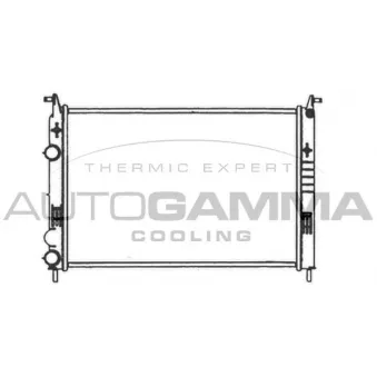 Radiateur, refroidissement du moteur AUTOGAMMA 103967