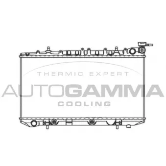 Radiateur, refroidissement du moteur AUTOGAMMA 103973