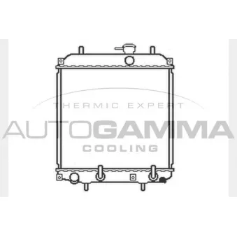 Radiateur, refroidissement du moteur AUTOGAMMA