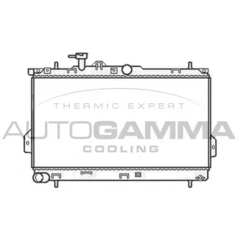 Radiateur, refroidissement du moteur AUTOGAMMA 104066