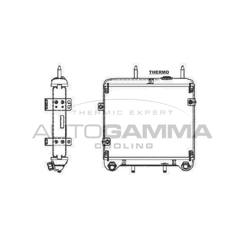 Radiateur d'huile AUTOGAMMA 104931