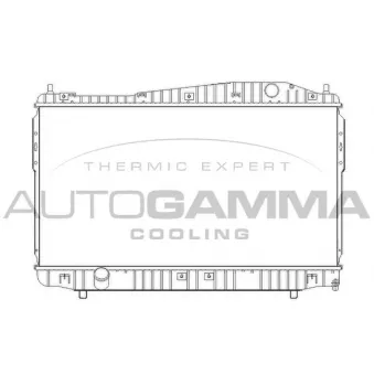 Radiateur, refroidissement du moteur AUTOGAMMA