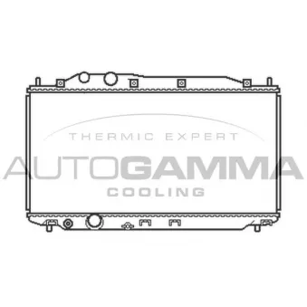 Radiateur, refroidissement du moteur AUTOGAMMA 105485