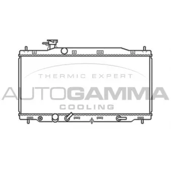 Radiateur, refroidissement du moteur AUTOGAMMA