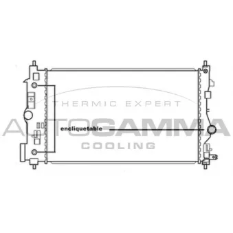 Radiateur, refroidissement du moteur AUTOGAMMA 105668