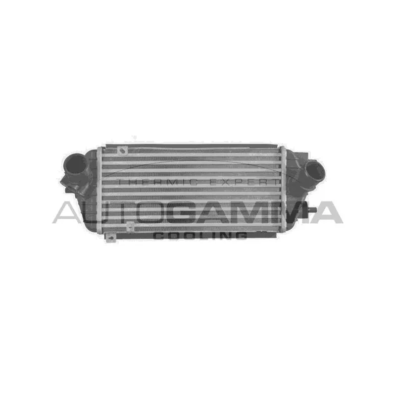 Intercooler, échangeur AUTOGAMMA 107320