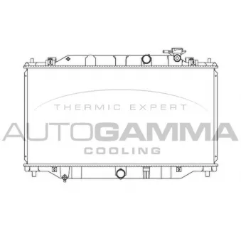 Radiateur, refroidissement du moteur AUTOGAMMA