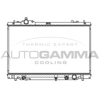 Radiateur, refroidissement du moteur AUTOGAMMA 107366