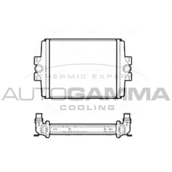 Radiateur, refroidissement du moteur AUTOGAMMA 107406