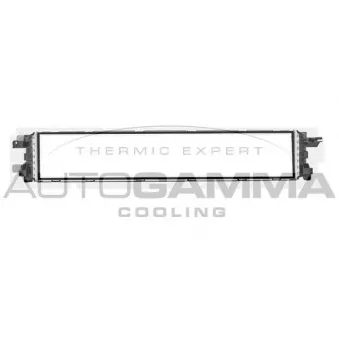 Radiateur, refroidissement du moteur AUTOGAMMA 107419