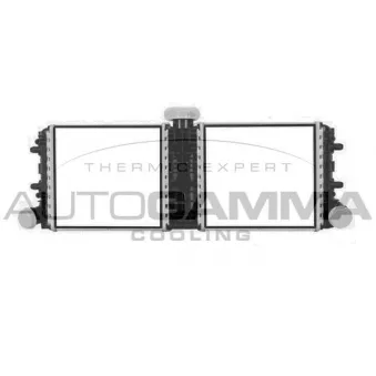 Radiateur, refroidissement du moteur AUTOGAMMA 107420