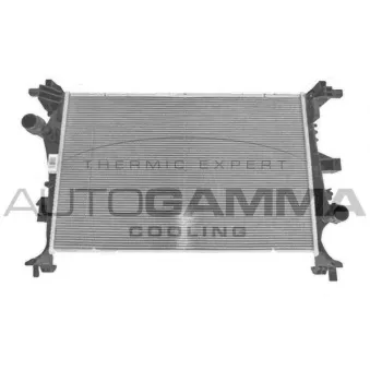 Radiateur, refroidissement du moteur AUTOGAMMA 107751