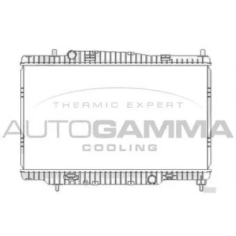 Radiateur, refroidissement du moteur AUTOGAMMA 107763