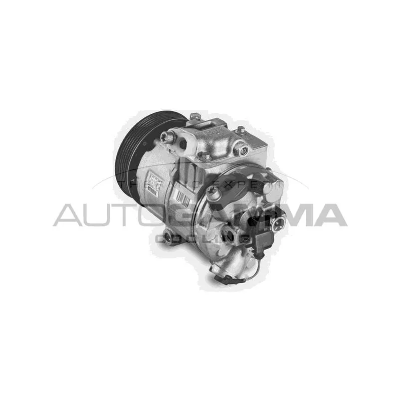 Compresseur, climatisation AUTOGAMMA 108379