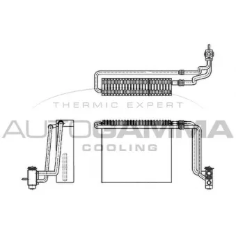 Évaporateur climatisation AUTOGAMMA 112023