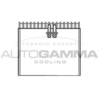 Évaporateur climatisation AUTOGAMMA 112097