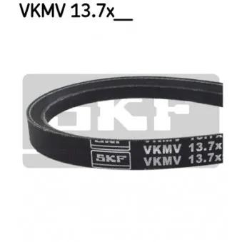 Courroie trapézoïdale SKF VKMV 13.7x975